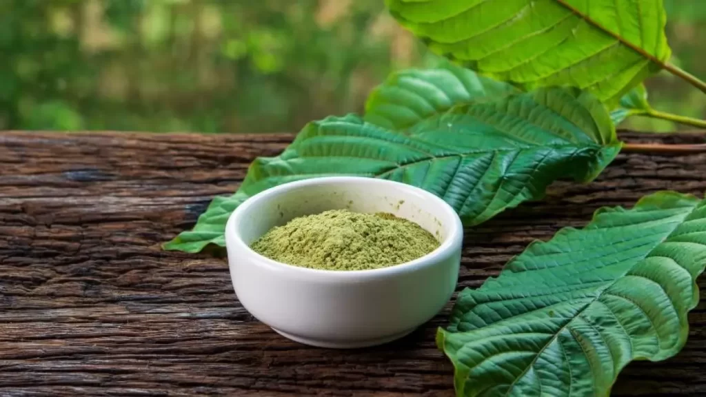 Make the Most of the Benefits Offered by the Kratom Powder 